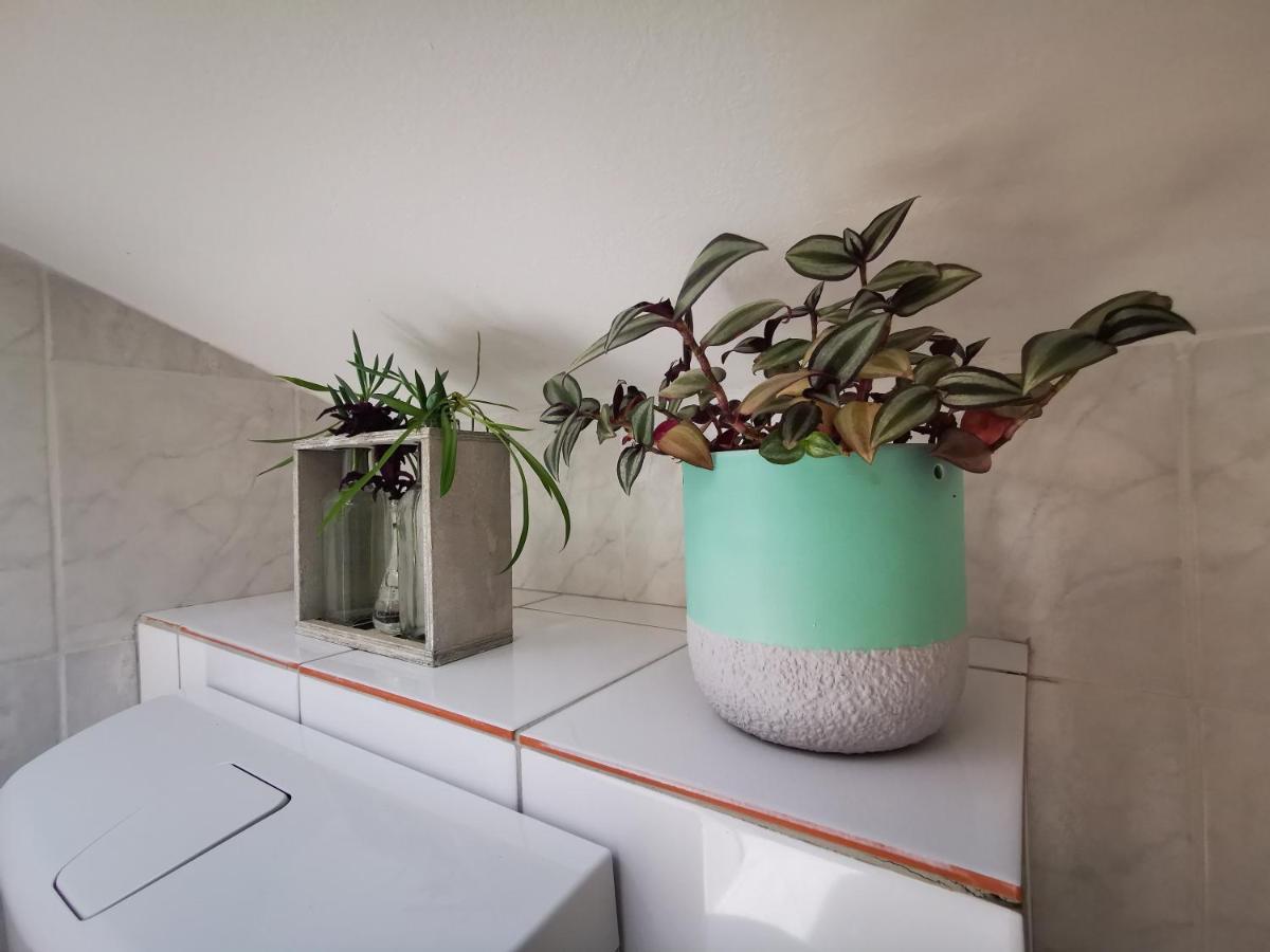 Apartament Rose 8 Bled Zewnętrze zdjęcie