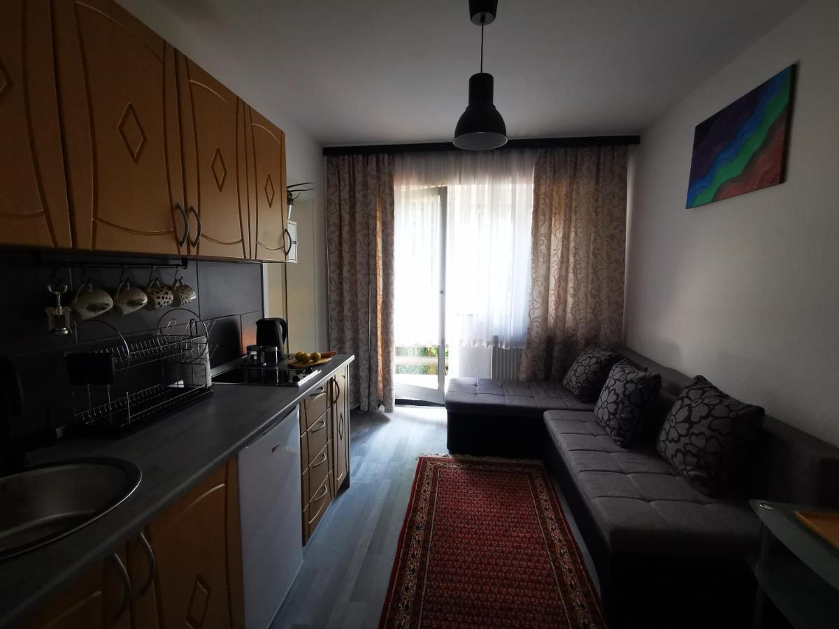 Apartament Rose 8 Bled Zewnętrze zdjęcie
